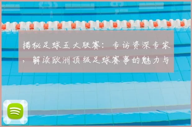 揭秘足球五大联赛：专访资深专家，解读欧洲顶级足球赛事的魅力与竞争格局