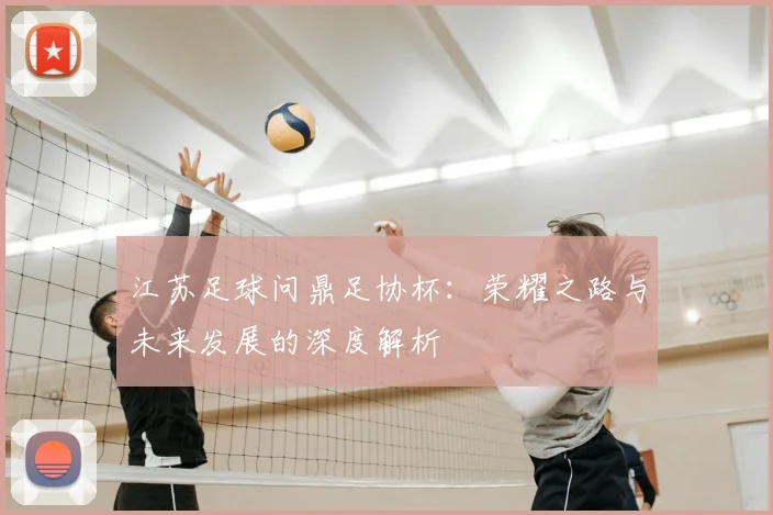 江苏足球问鼎足协杯:荣耀之路与未来发展的深度解析